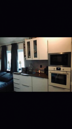 Villa Lillgården with Sauna and Jacuzzi in Norrköping